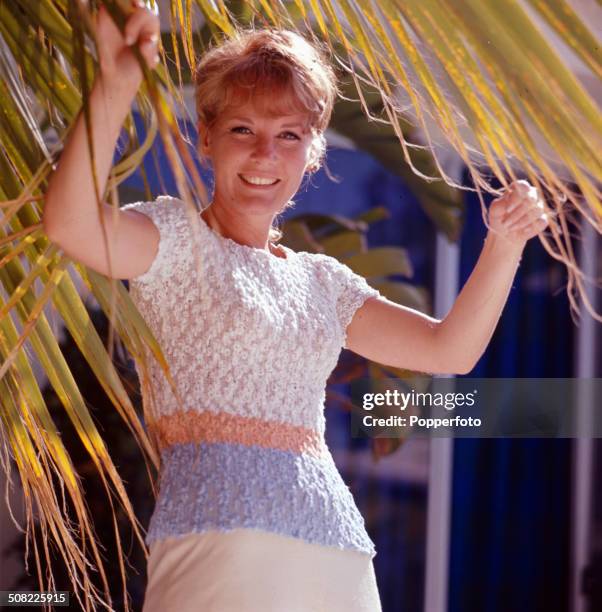 English singer and actress Petula Clark posed wearing a white, peach and blue top whilst standing under the fronds of a palm tree in 1967.