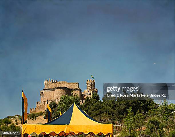 During the month of July celebrating the Medieval Week in Manzanares el Real Castle takes place. An educational proposal leisure with special events...