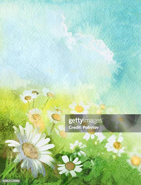 summer art background - chamomile plant stock illustrations