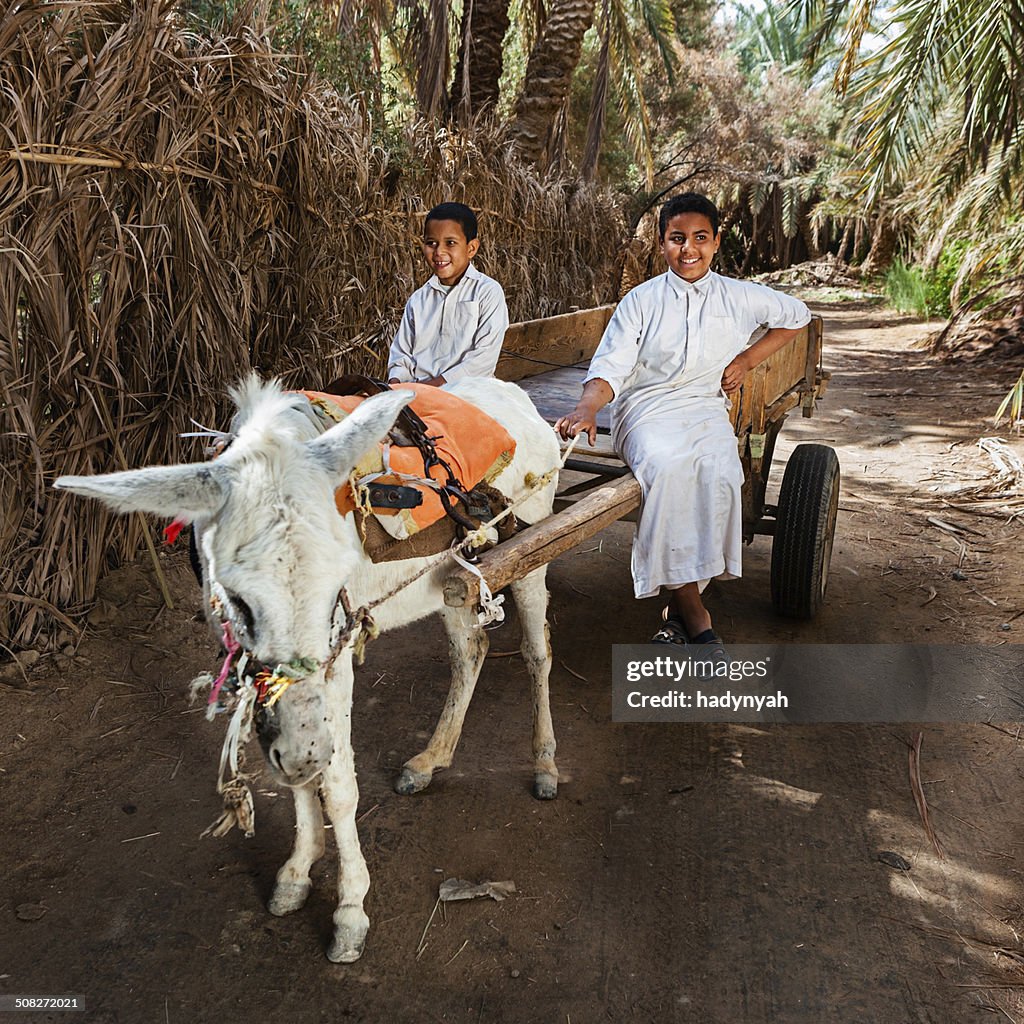 Muçulmanos rapazes passeio de Carroça de Burro, no oásis de Siwa, Sara