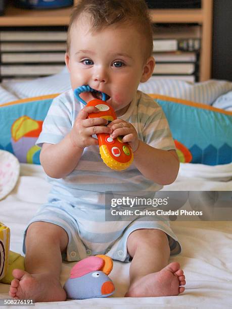 baby biting toys at home - personas ciudad stock pictures, royalty-free photos & images