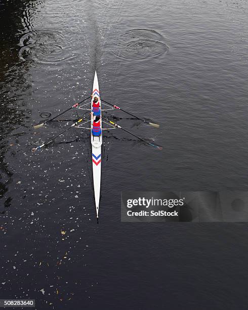 keep rowing girls! - sculling crew stock pictures, royalty-free photos & images