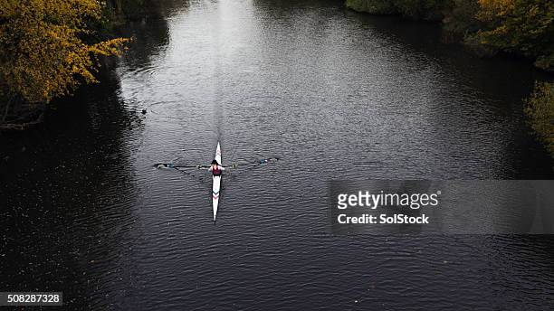 female rowing up river - single scull stock pictures, royalty-free photos & images