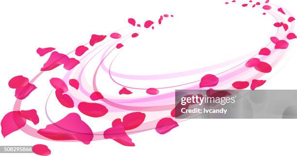 rose petals - petals flying stock illustrations