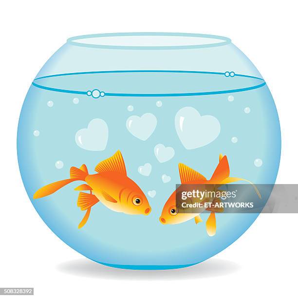 illustrations, cliparts, dessins animés et icônes de poissons en amour - fishbowl