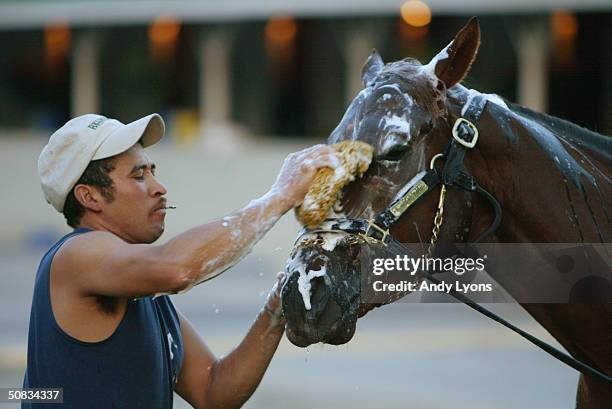 Smarty Jones Louisville Photos and Premium High Res Pictures Getty Images