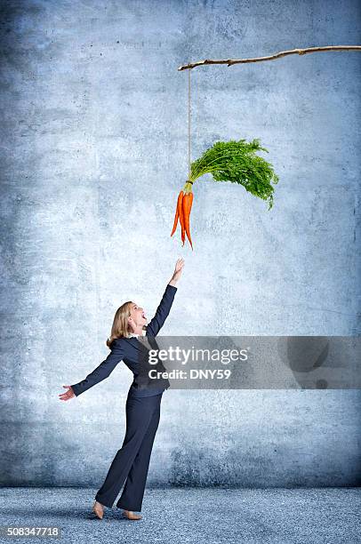 geschäftsfrau erreichen für eine hängende karotte am spieß - dangling a carrot stock-fotos und bilder