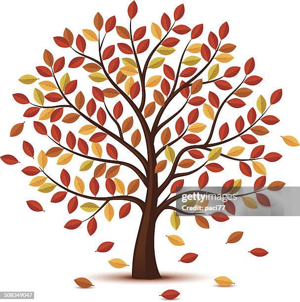 autumn tree design - orange tree stock illustrations