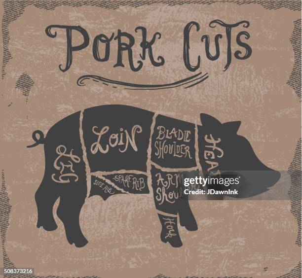 vintage pork cuts butcher diagram on textured background - boar meat stock illustrations