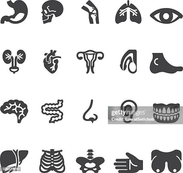 organ silhouette icons | eps10 - human tongue stock illustrations