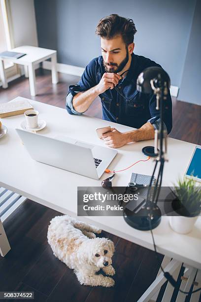 businessman working at pet-friendly workplace - man laptop dog stock pictures, royalty-free photos & images