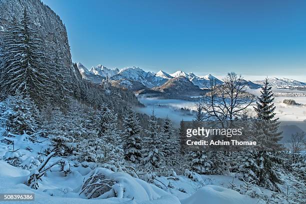 bavarian winter landscape with a view to neuschwanstein castle - neuschwanstein winter stock pictures, royalty-free photos & images