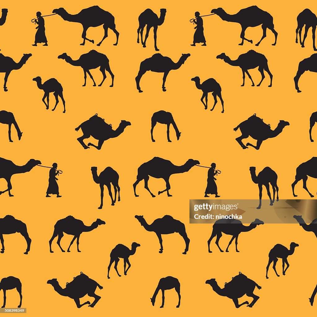 Cymles Pattern Camels Pattern High-Res Vector Graphic - Getty Images