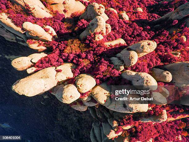 aerial view of the montserrat conglomerate crags, a huge vertical fingers multi peaks taken by drone in a unique place on earth in the catalonia region. - montserrat sanctuary stock pictures, royalty-free photos & images