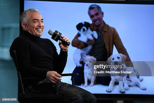 Cesar Millan discusses season 3 of his show 'Cesar 911' at AOL Studios In New York on February 4, 2016 in New York City.