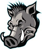 wild boar head mascot
