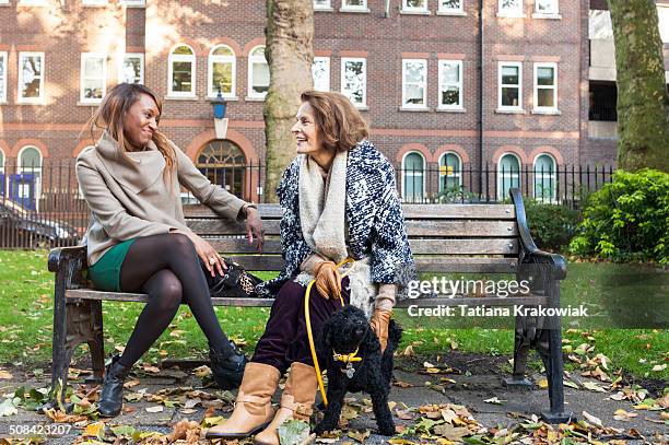 junge und ältere frau in einem park (london, vereinigtes königreich) - frauen hund park stock-fotos und bilder