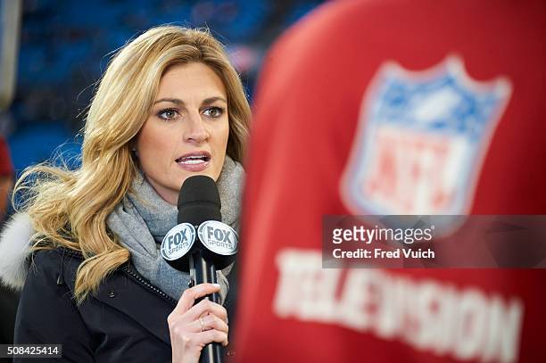 Playoffs: Closeup of Fox Sports sidelines reporter Erin Andrews during telecast of Arizona Cardinals vs Carolina Panthers NFC Championship game at...