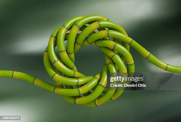 bamboo spiral weave with two open ends - bamboo plant stockfoto's en -beelden