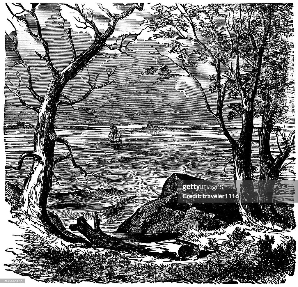 Plymouth Rock