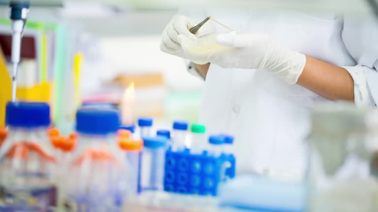Lab Picker Testing 70 Lab Picker Stock Videos, Footage, & 4K Video Clips - Getty Images