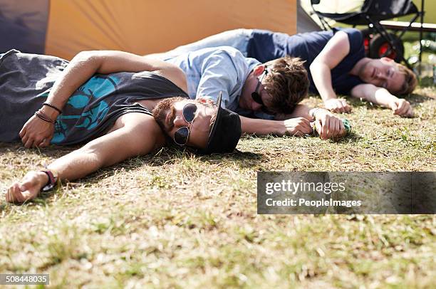 they've had one too many... - music festival grass stock pictures, royalty-free photos & images