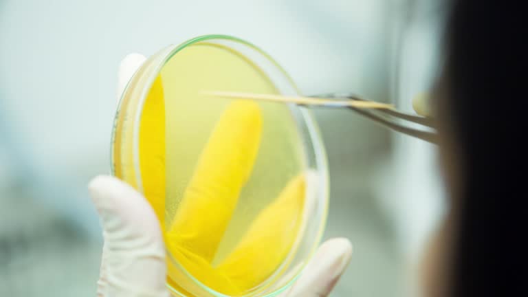 Lab Picker Testing 70 Lab Picker Stock Videos, Footage, & 4K Video Clips - Getty Images