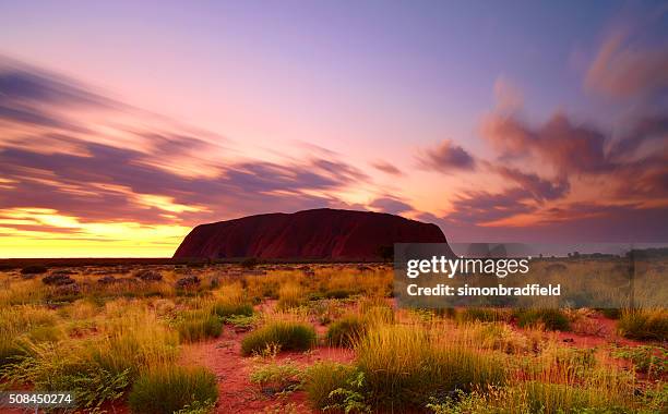 uluru at dawn - uluru rock stock pictures, royalty-free photos & images