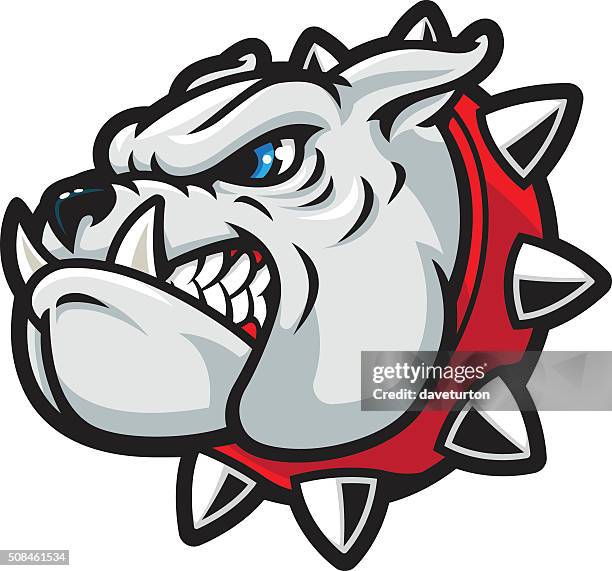 ilustraciones, imágenes clip art, dibujos animados e iconos de stock de bulldog resistente - bulldog