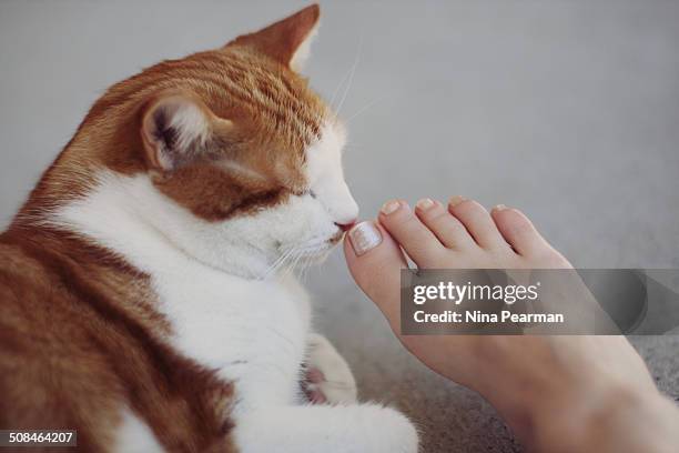 weirdo - sniff feet stock-fotos und bilder