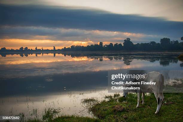 Srah Rout 78 Srah Stock Photos, High-Res Pictures, and Images - Getty Images