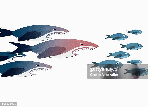 sharks chasing small fish over white background - animals hunting stock illustrations