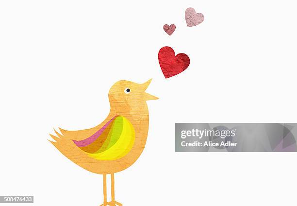 songbird with heart shapes representing love against white background - one animal stock illustrations