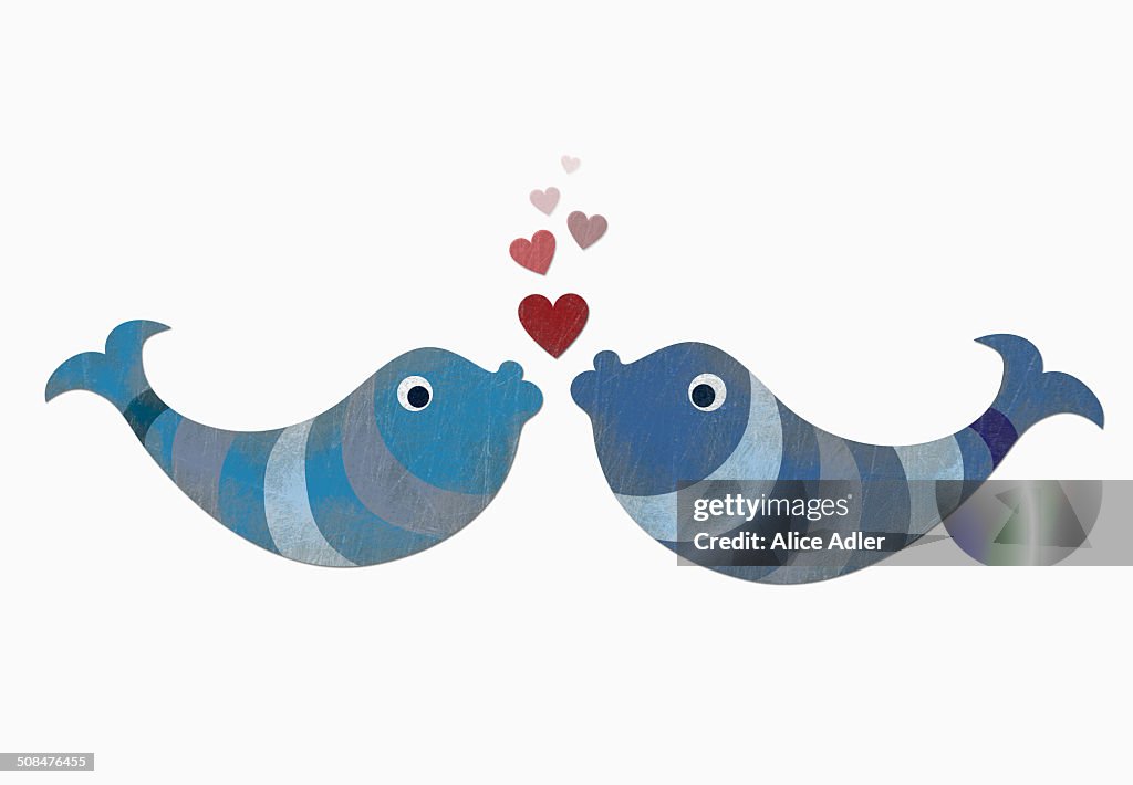 Two fish with heart shape bubbles against white background