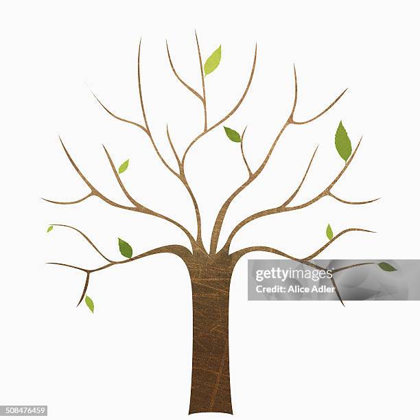 ilustraciones, imágenes clip art, dibujos animados e iconos de stock de a bare tree against white background - bare tree