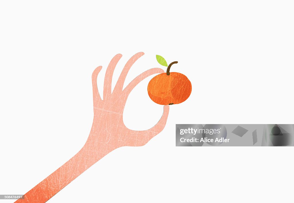 Hand Vector Orange A Hand Holding An Orange Against White Background High-Res Vector ...