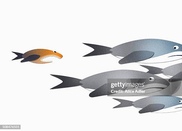 a small fish chasing sharks over white background - animals attacking stock illustrations