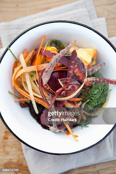 remains of vegetables in bowl - mondo fotografías e imágenes de stock