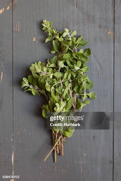 directly above shot of fresh oregano on table - origano foto e immagini stock