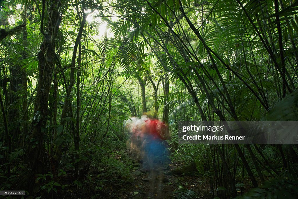 Blurred motion of people walking in forest