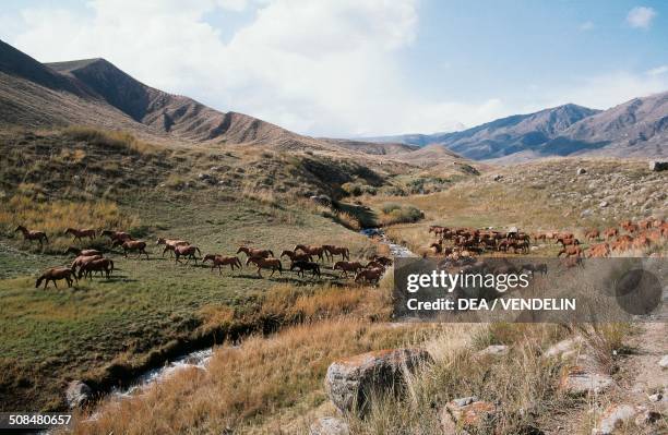 Talas Province StockFotos und Bilder Getty Images