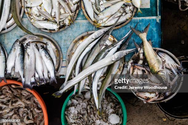 buckets of seafood for sale in market - kerala food stock-fotos und bilder