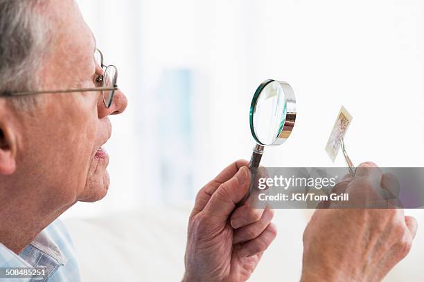 senior caucasian man examining stamp with magnifying glass - stamp collection stock pictures, royalty-free photos & images