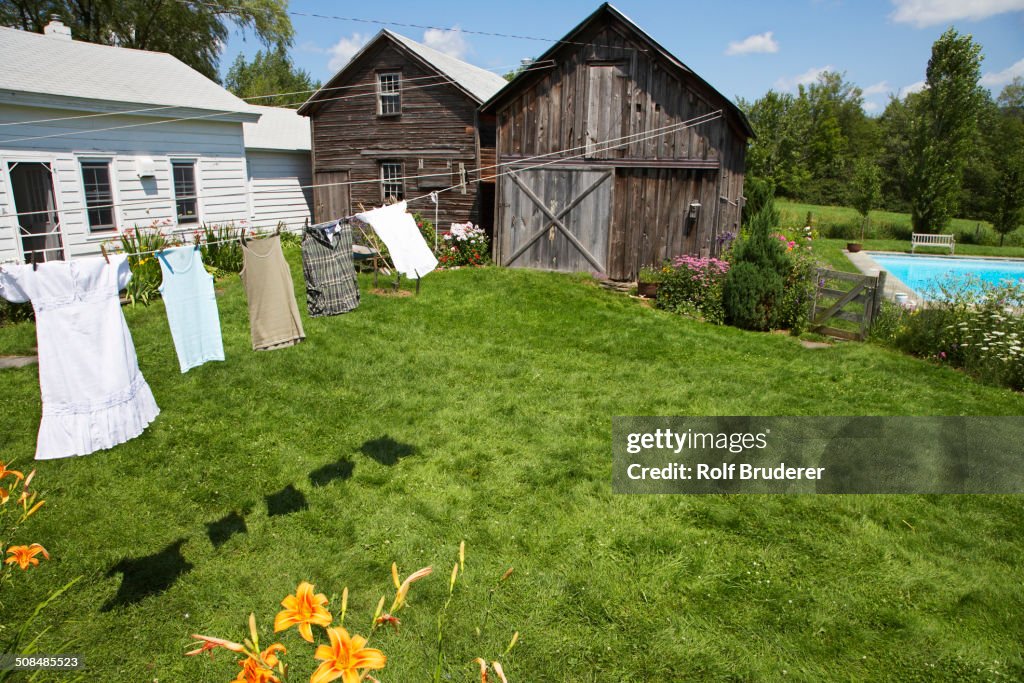 Clothesline and green lawn in backyard