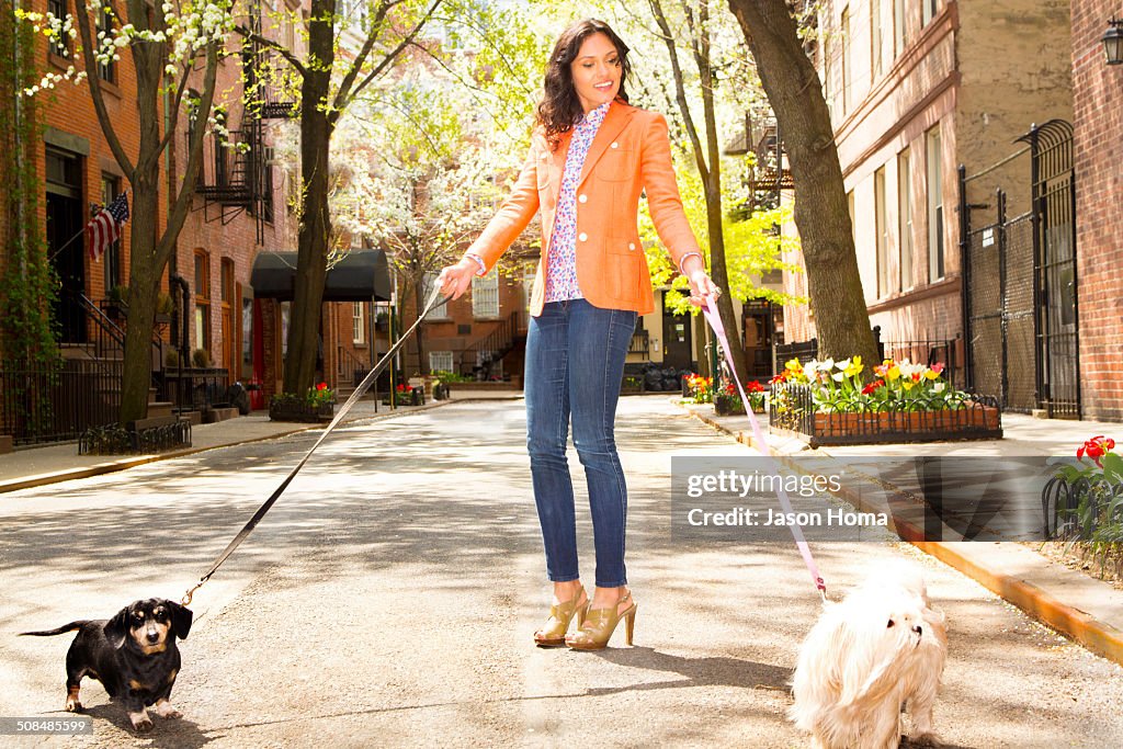 Mixed race woman walking dogs on city street