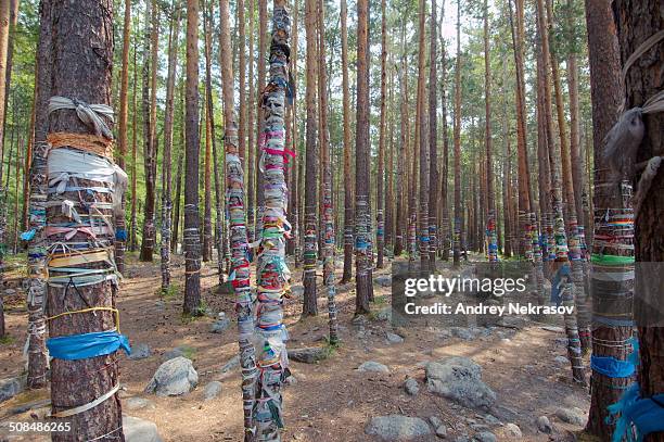 12 Tunkinsky District Stock Photos, HighRes Pictures, and Images