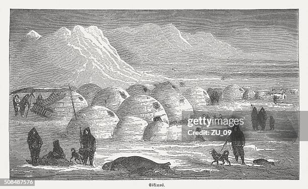 eskimos in the winter, wood engraving, published in 1882 - siberia stock illustrations