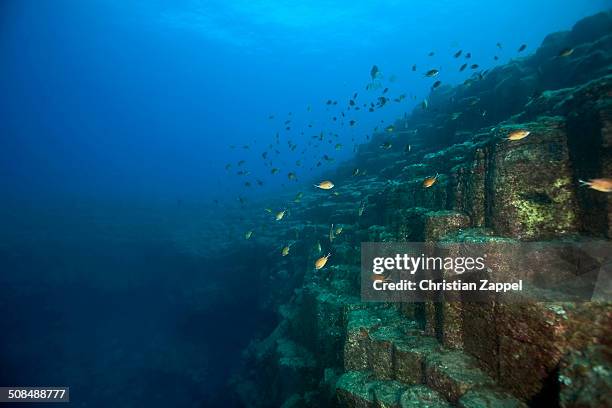 volcanic crater with basalt rocks under water, near santa maria, azores, atlantic ocean, portugal - volcán submarino fotografías e imágenes de stock