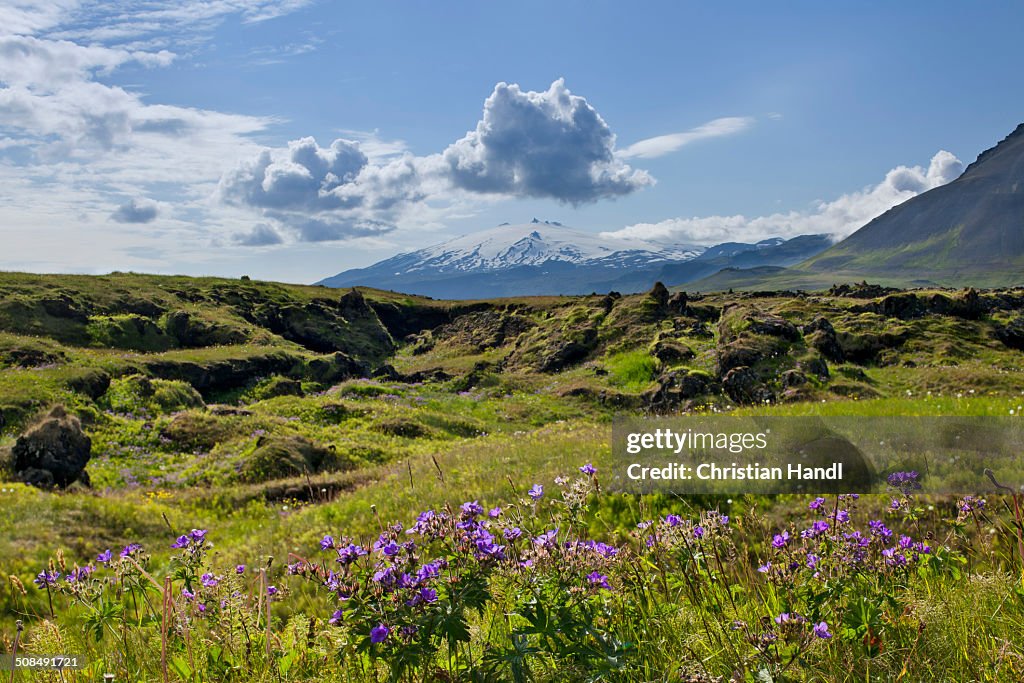 Snaefellsjoekull volcano, Buoir or Faskruosfjoerour, Snaefellsnes, Snaefellsness, Iceland, Europe