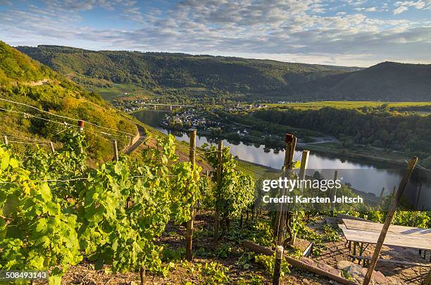 Senheim Senheim Photos and Premium High Res Pictures - Getty Images